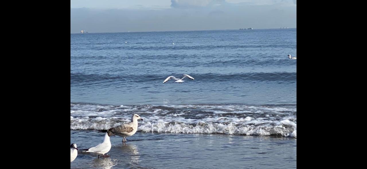 Oliwia Iii * Sopot